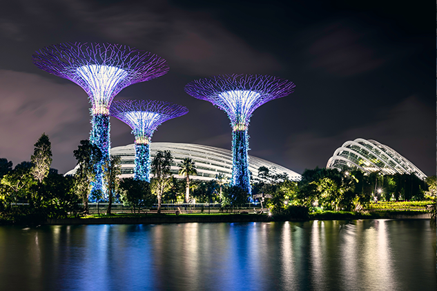 If you're looking for things to do in Singapore, look no further than Gardens by the Bay. This 101-hectare park features stunning gardens, a sea of flowers, and plenty of activities for visitors of all ages.